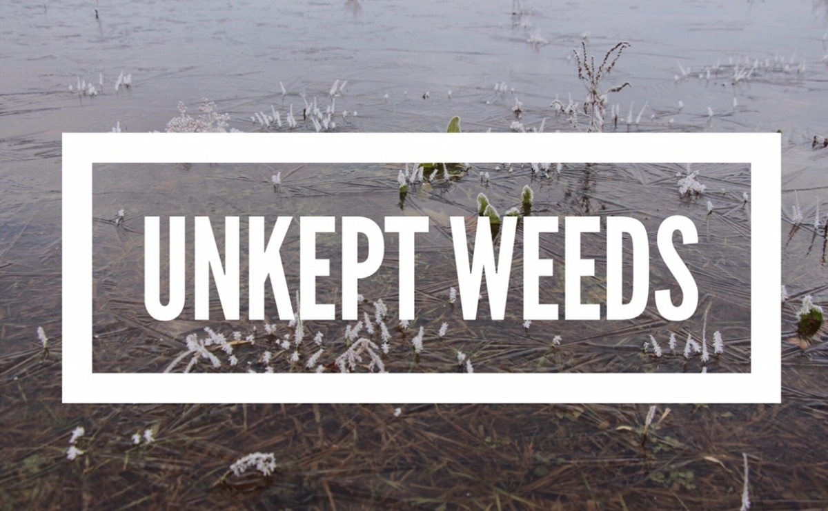 Unkept Weeds