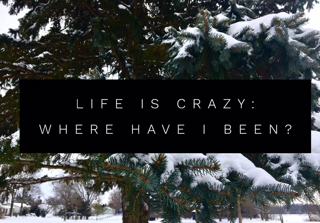 Life is Crazy: Where Have I Been?